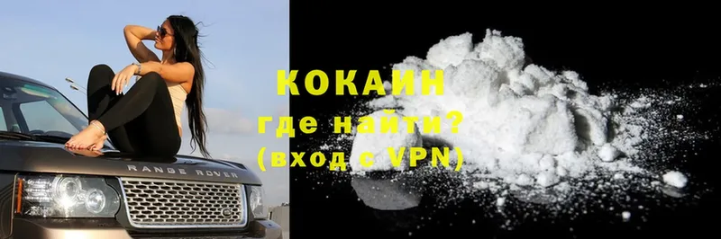 купить наркоту  Тюкалинск  Cocaine Fish Scale 